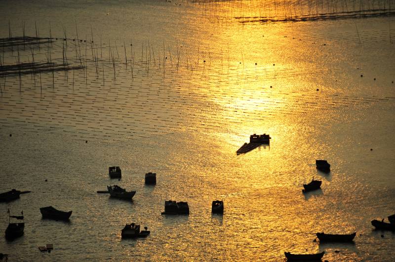 夕阳下的渔舟图片