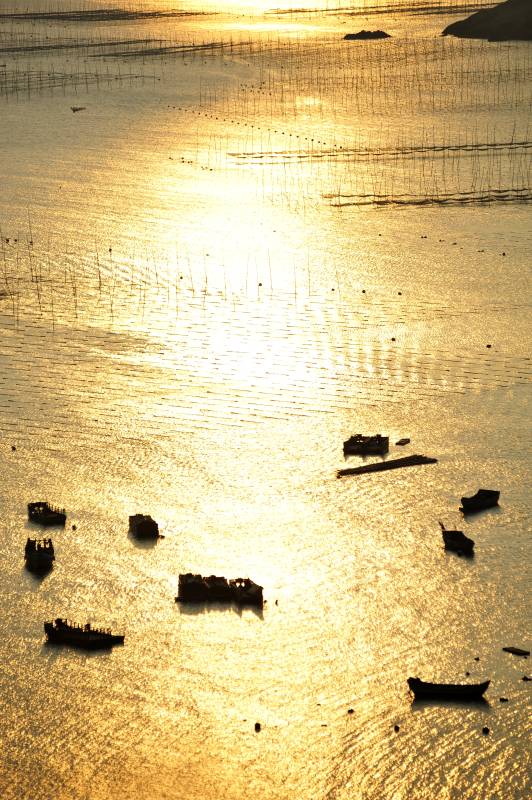 夕阳下的渔舟图片