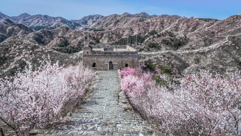 长城春色图片