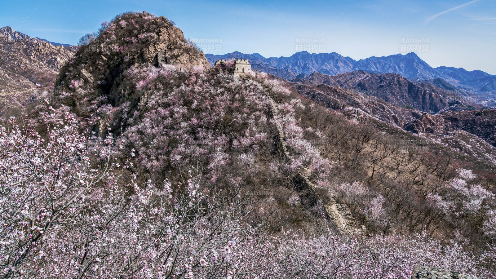 春山花海长城图片