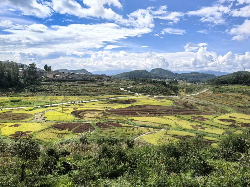 梯田风光 云天相映图片