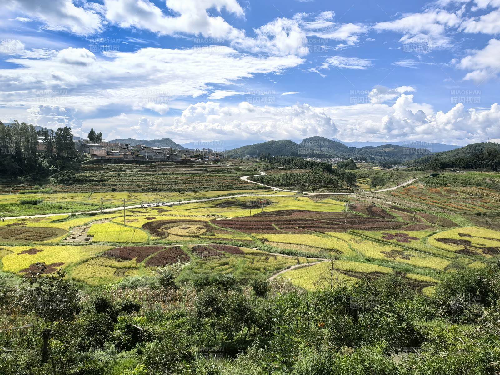 梯田风光 云天相映图片
