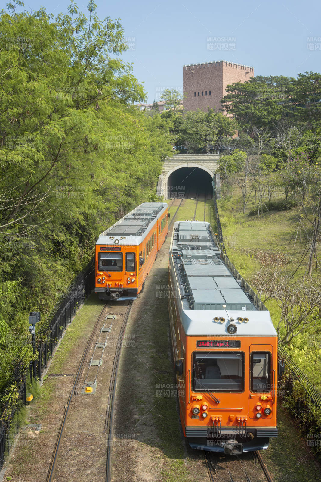 双轨列车穿林隧道图片