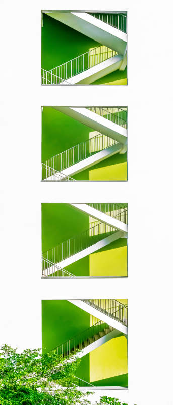 绿意阶梯图片