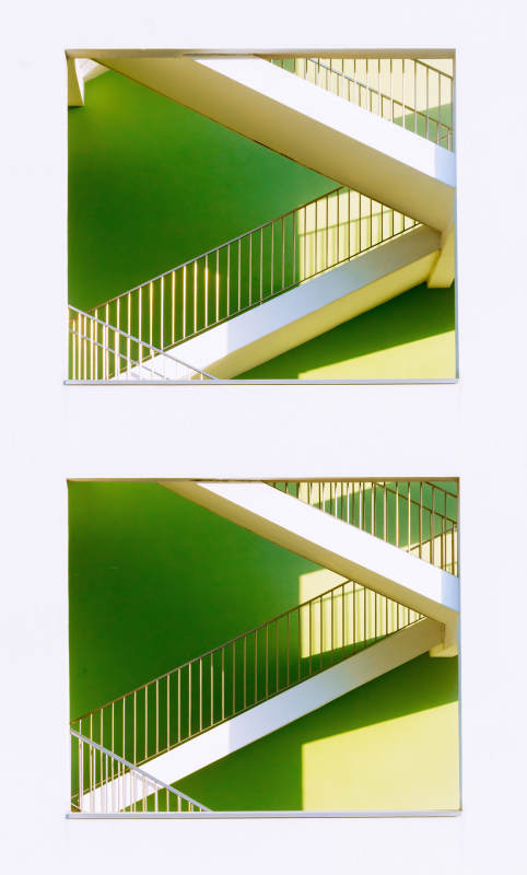 绿阶光影交错图片