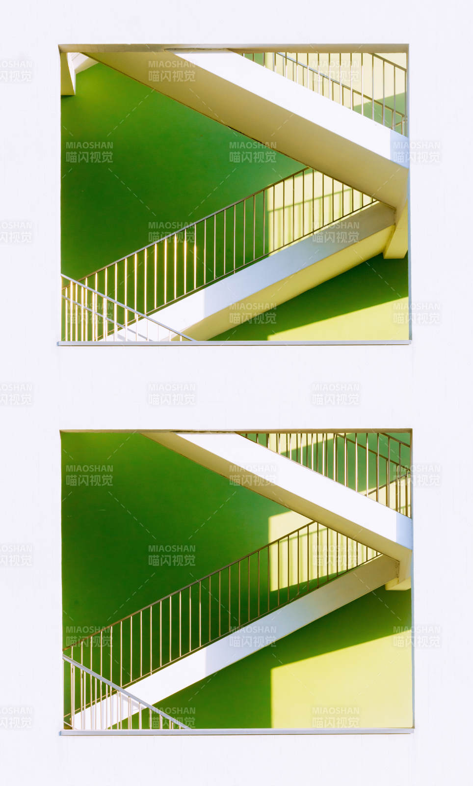 绿阶光影交错图片