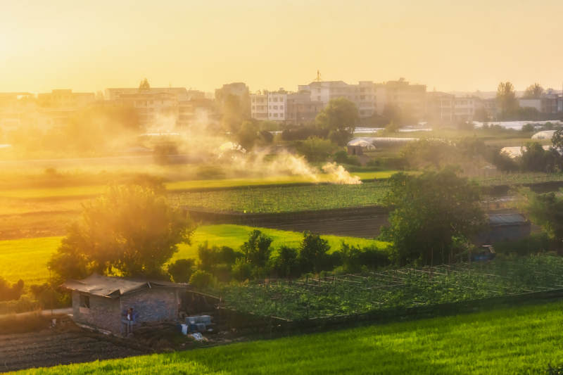 晨雾田园风光图片