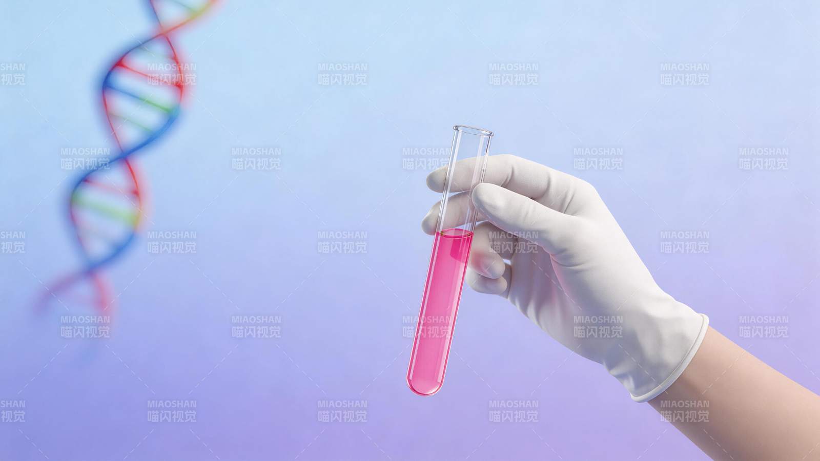 戴手套手持装有粉色液体的试管与DNA双螺图片