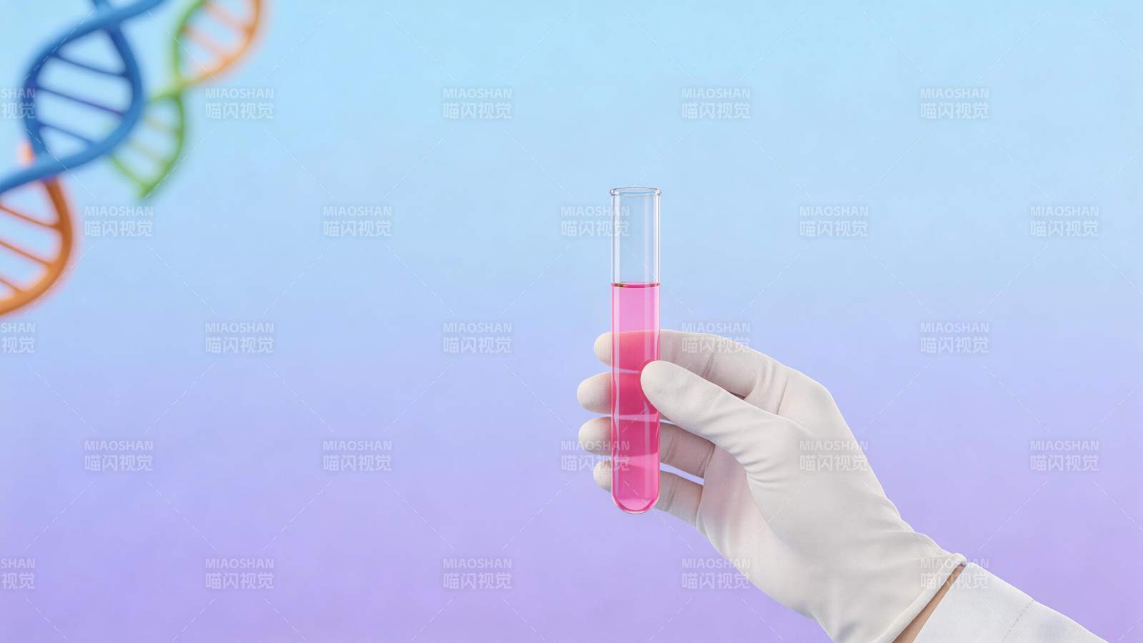 戴手套手持装有粉色液体的试管与DNA双螺图片