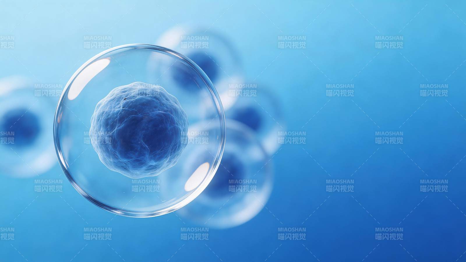蓝色背景下多个透明细胞结构显微图像图片