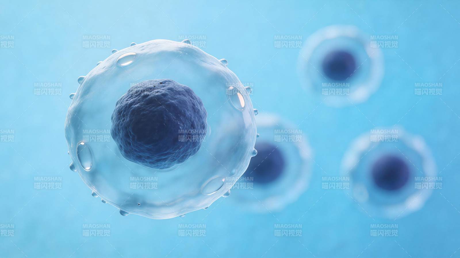 显微镜下清晰可见的动物细胞结构示意图图片