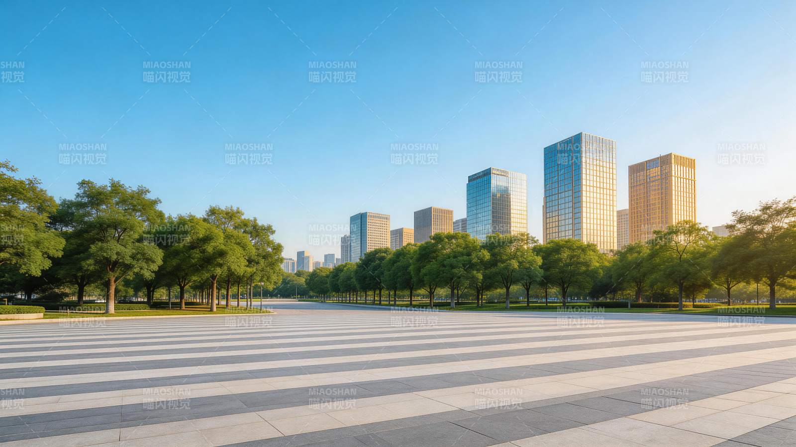 城市广场绿树成荫高楼林立清晨景象图片