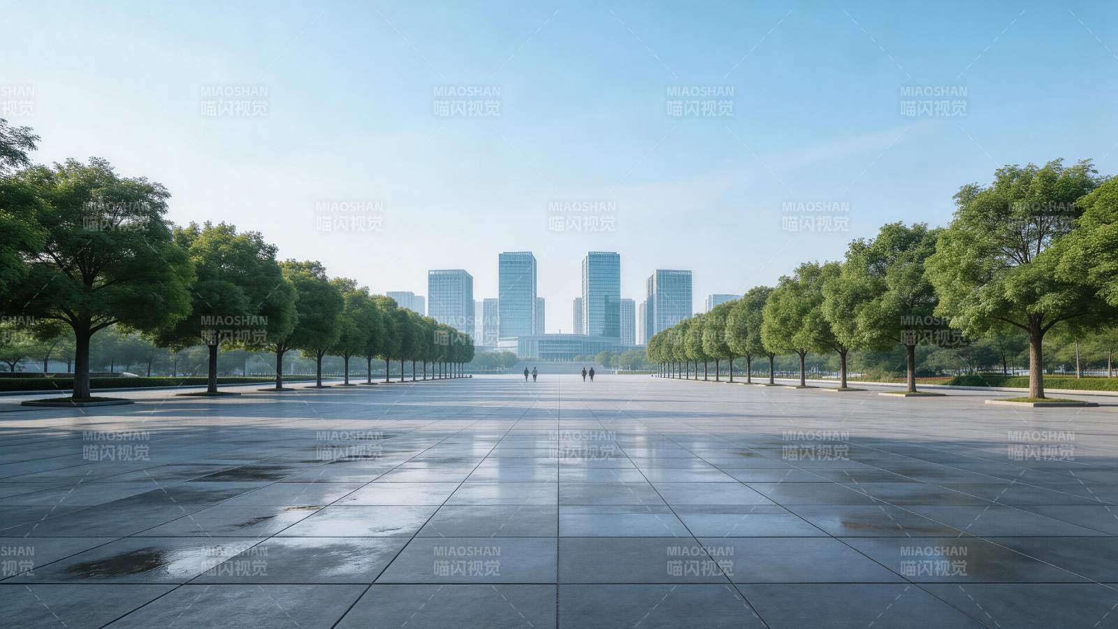 城市广场两侧绿树成行远处高楼林立图片