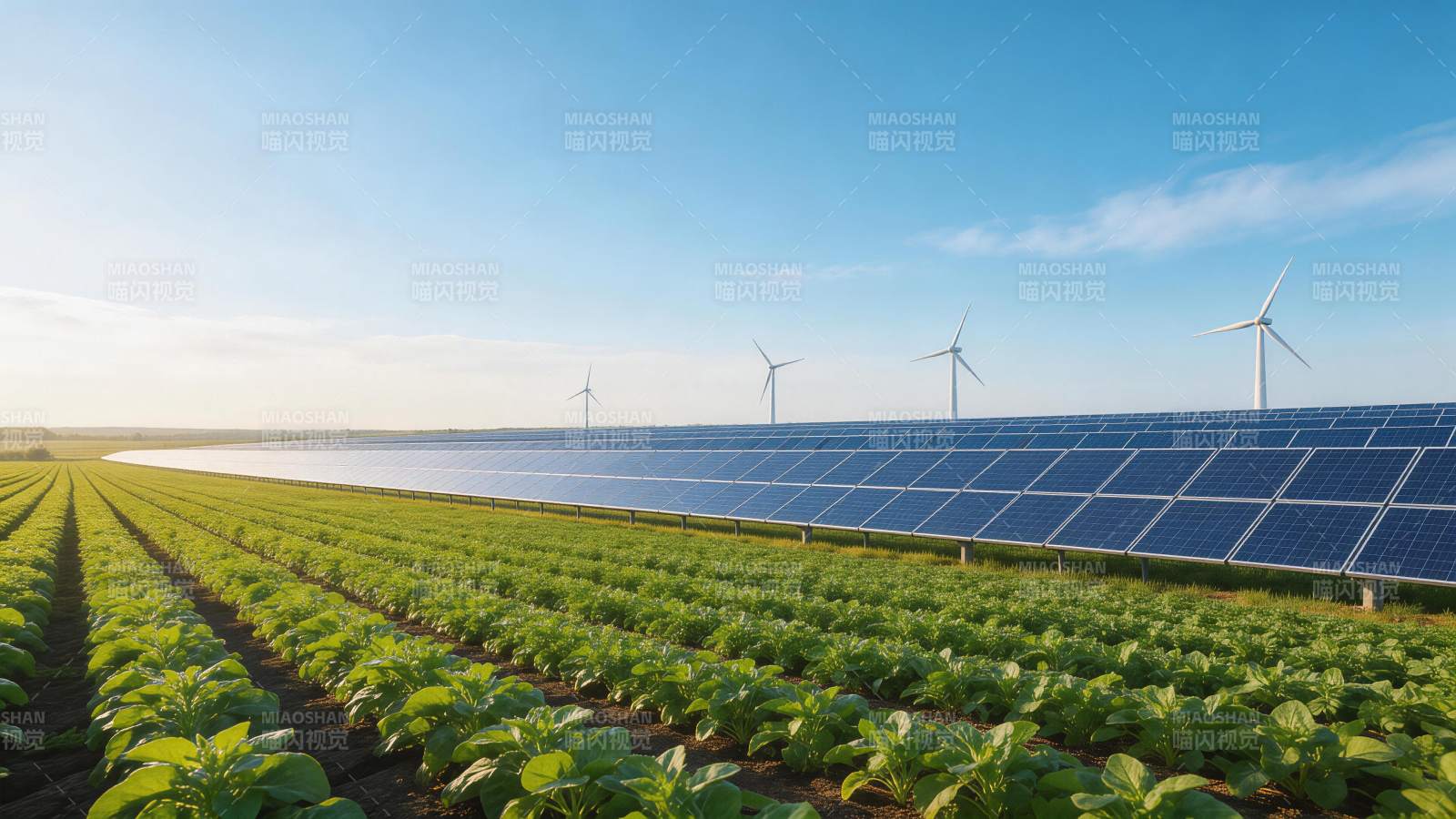 农田中排列整齐的太阳能板与风力发电机图片