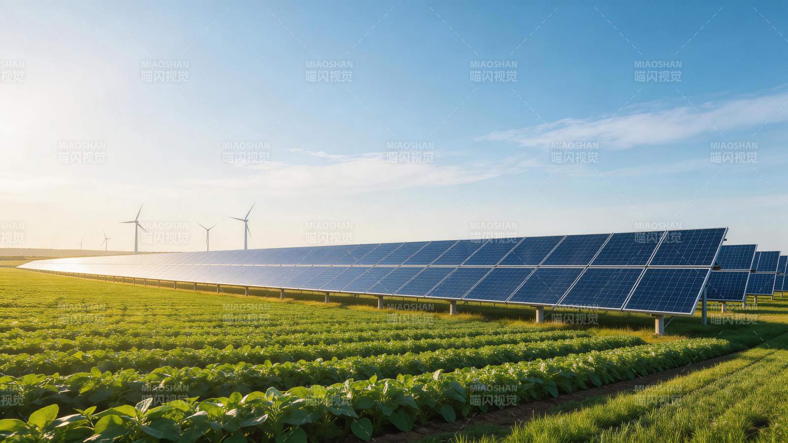 田野中排列整齐的太阳能板与远处风力发电机图片