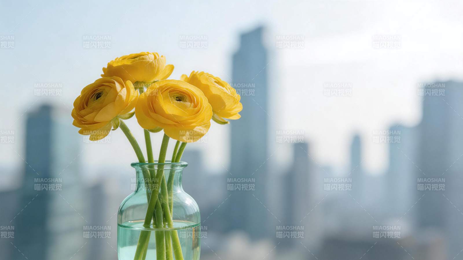 黄色花朵插在玻璃瓶中城市背景图片