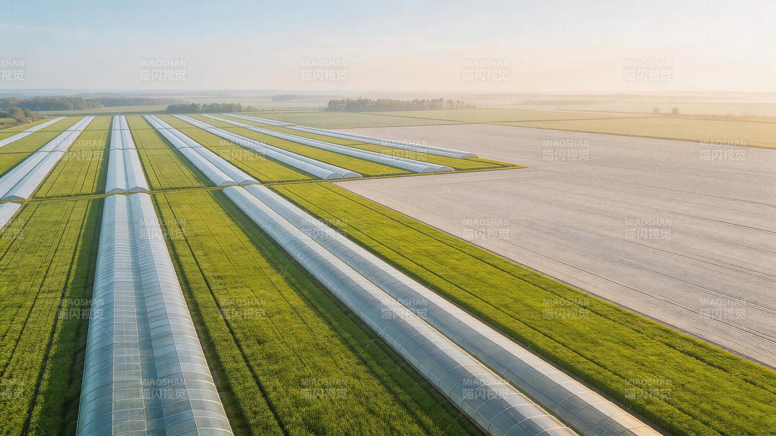 整齐排列的农业温室大棚与绿色农田航拍景象图片