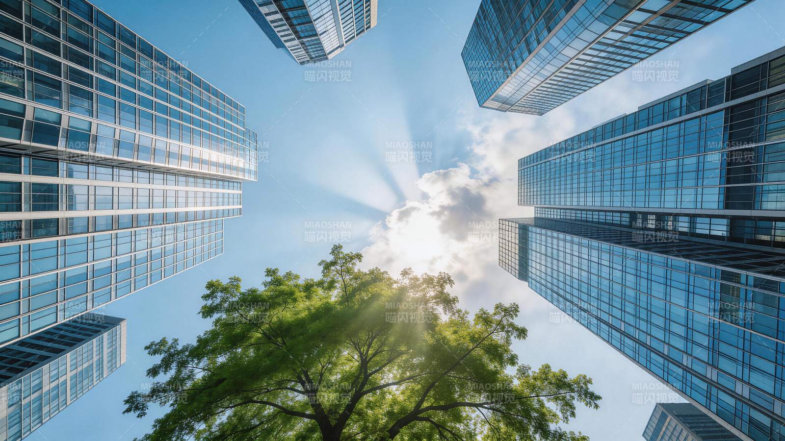 仰视视角下高楼环绕绿树与阳光穿透云层图片