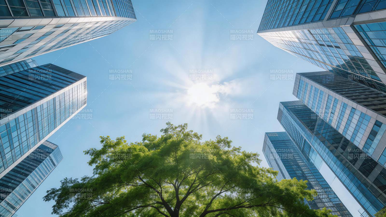 高楼环绕中绿树与阳光交映的城市景观图片