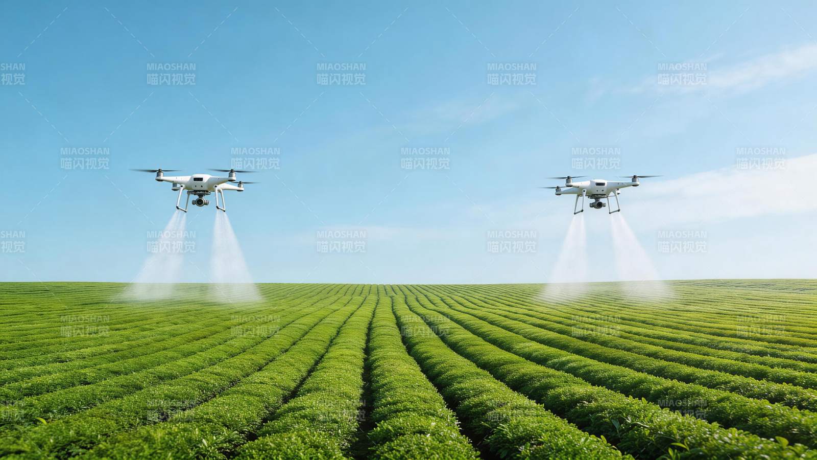 两架无人机在茶园上空喷洒作业图片
