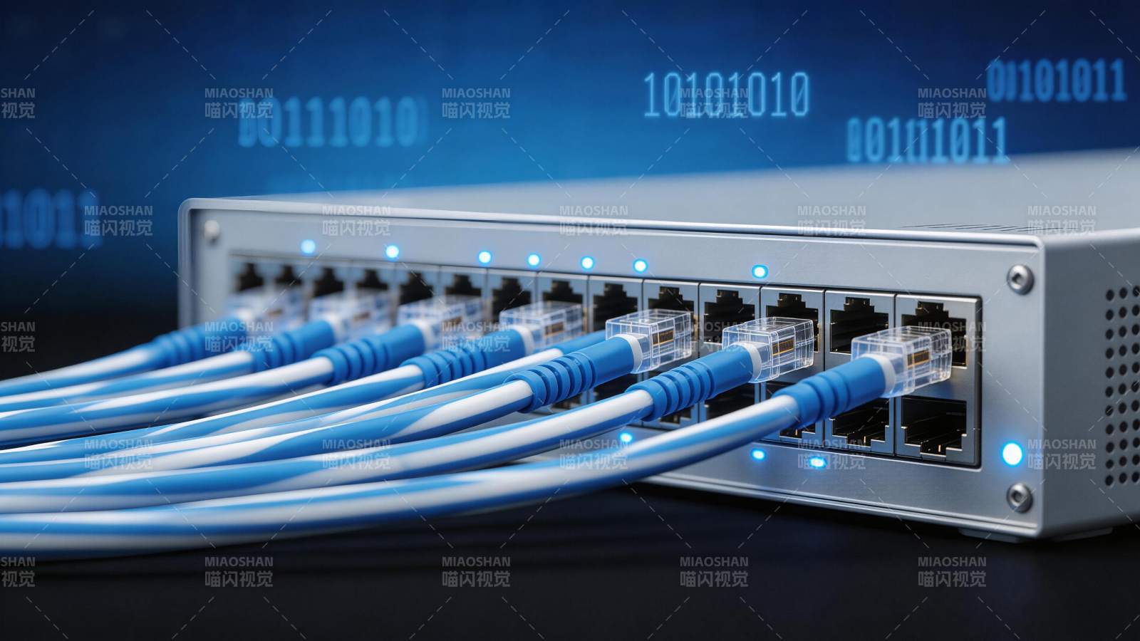 网络交换机连接多根蓝白网线设备特写图片