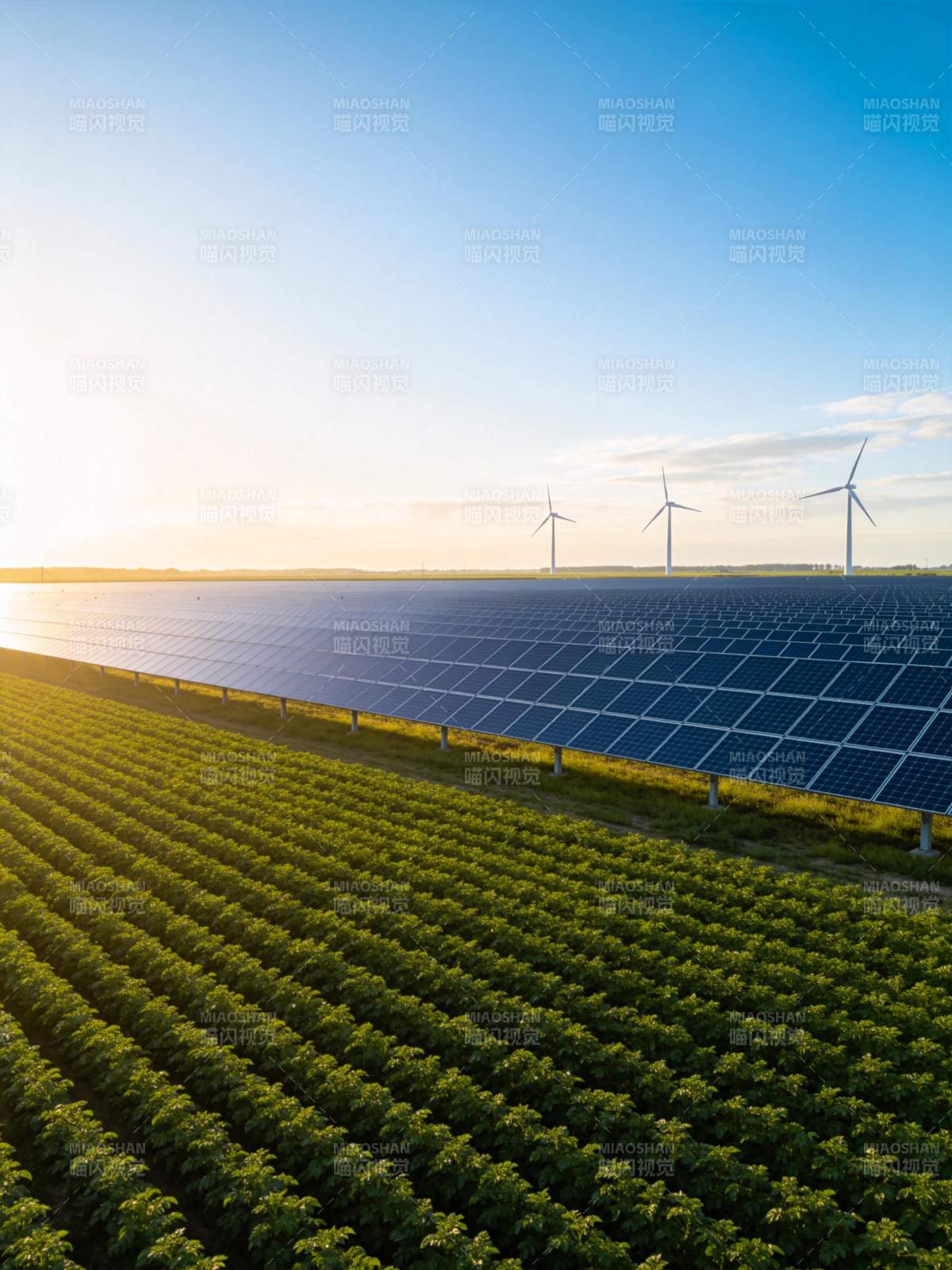 农田旁太阳能板与风力发电机并列景观图片