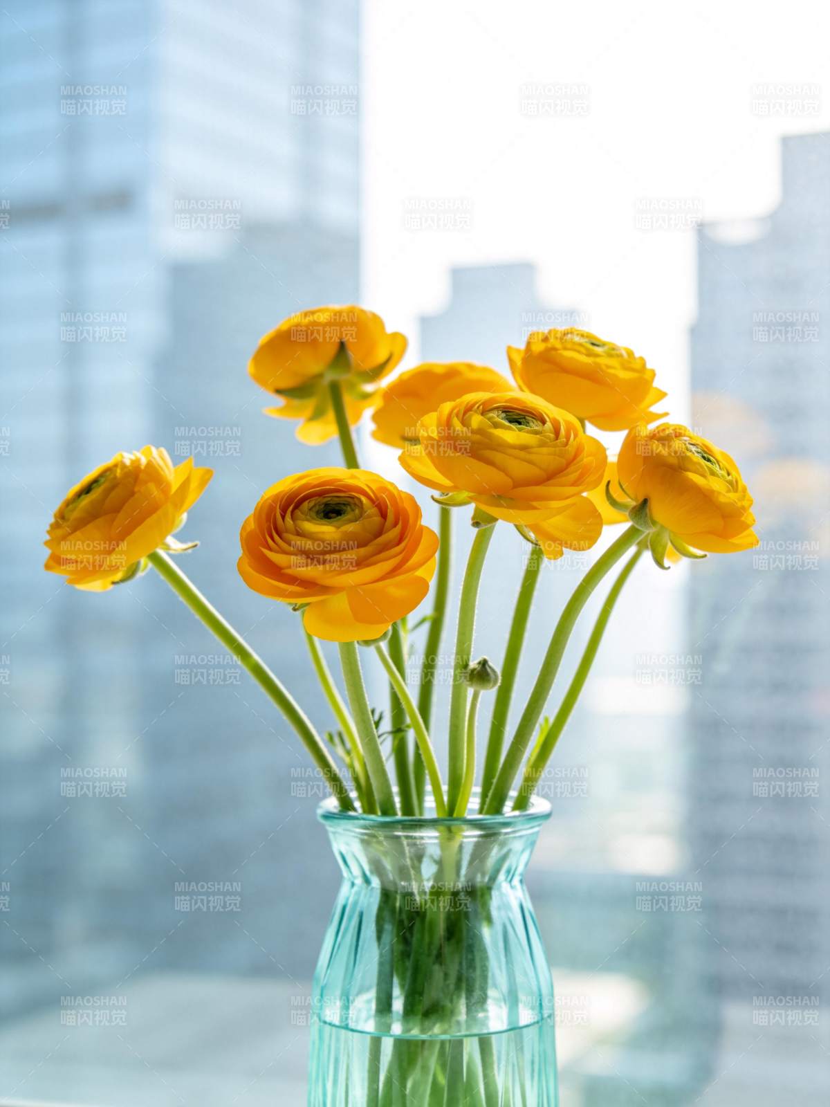 窗边蓝色玻璃花瓶中插着黄色花朵图片