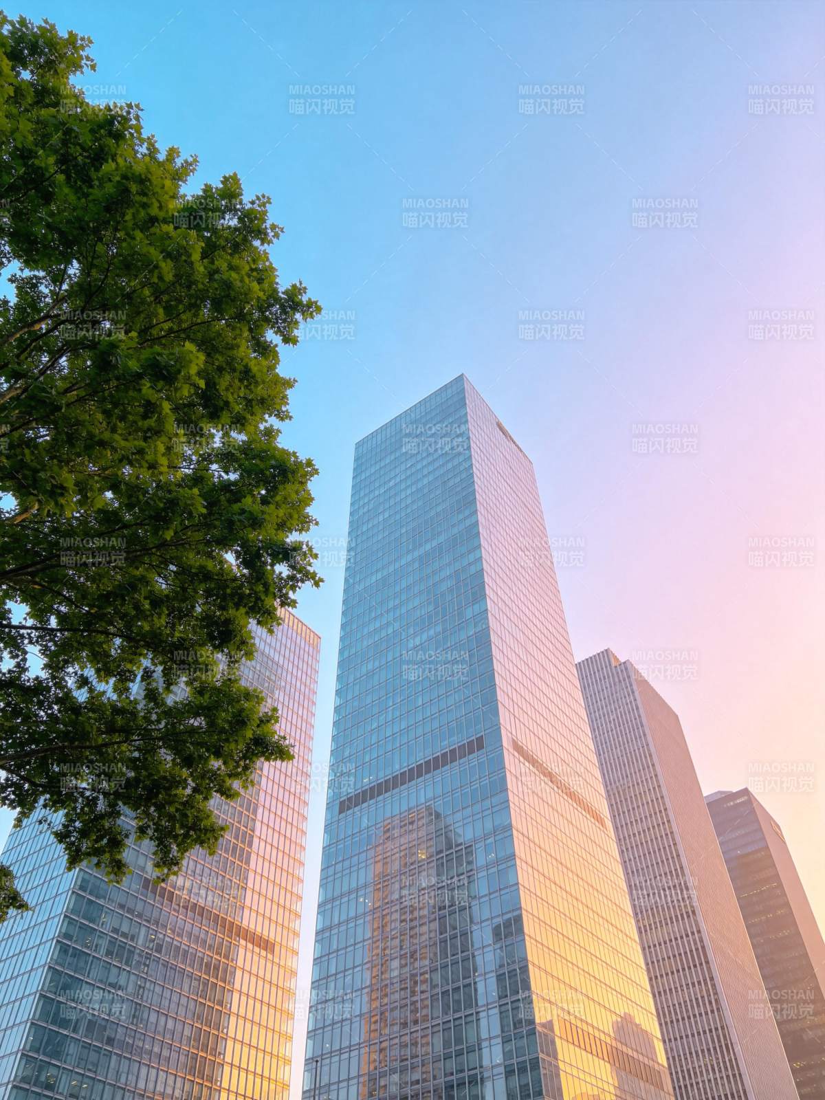 玻璃幕墙高楼林立与绿树映衬的城市天际线图片