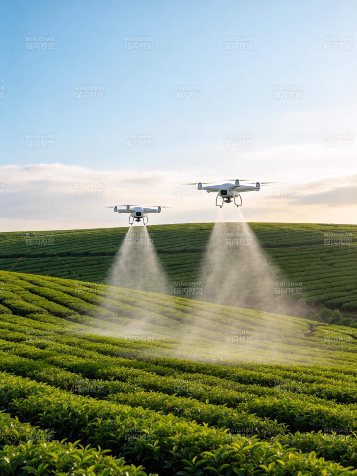 两架无人机在茶园上空喷洒作业图片