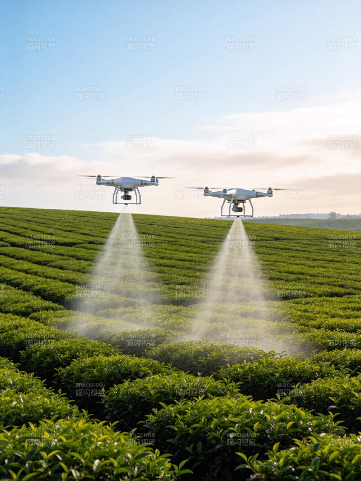 两架无人机在茶园上空喷洒作业图片