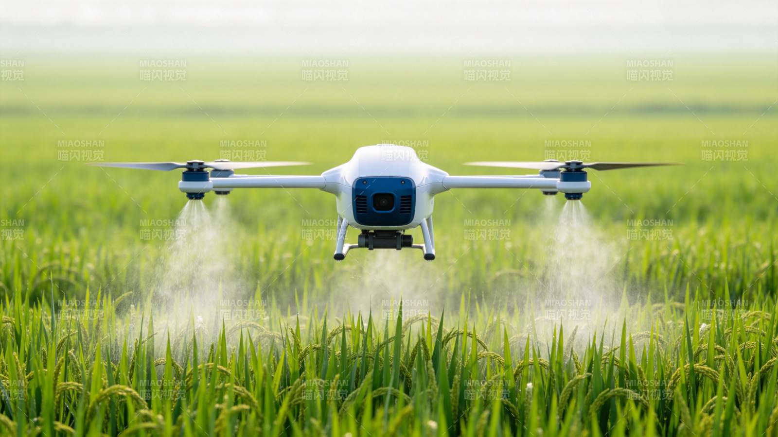 农业无人机在稻田上空喷洒作业图片
