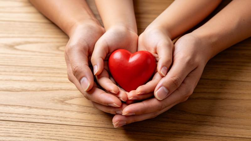 多双手共同托举红色心形物体置于木桌图片