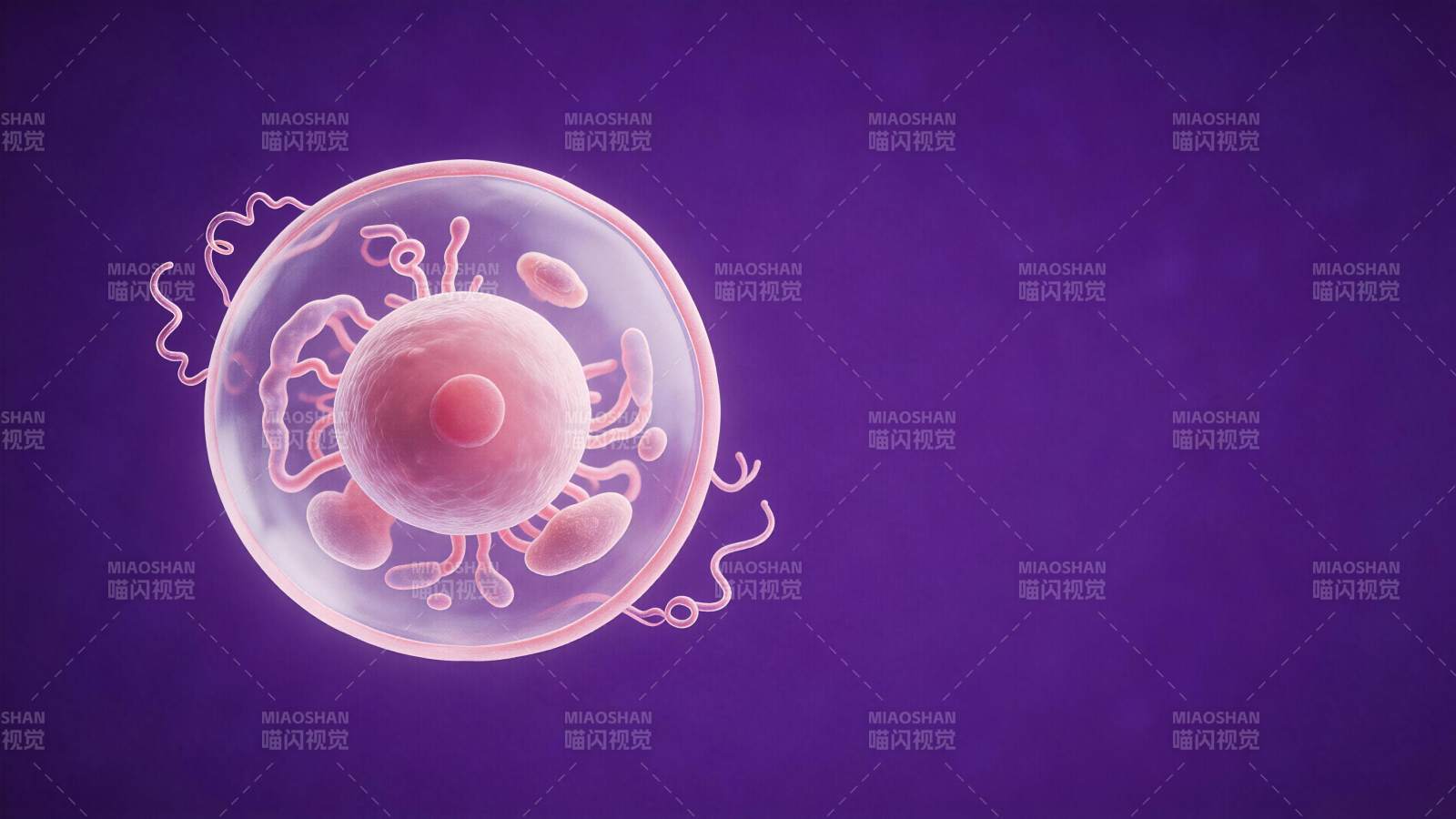 细胞结构三维示意图展示细胞核与细胞器图片