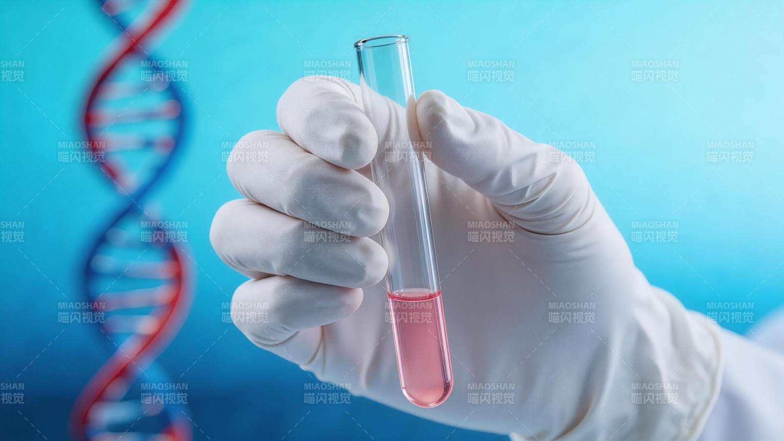 戴手套手持含粉红液体试管与DNA双螺旋背图片