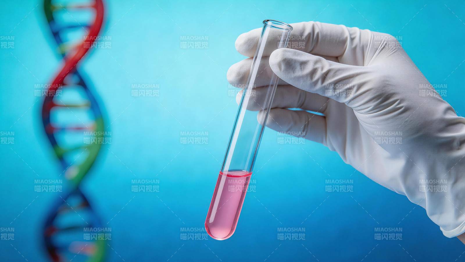 戴手套手持含粉红液体试管与DNA双螺旋背图片