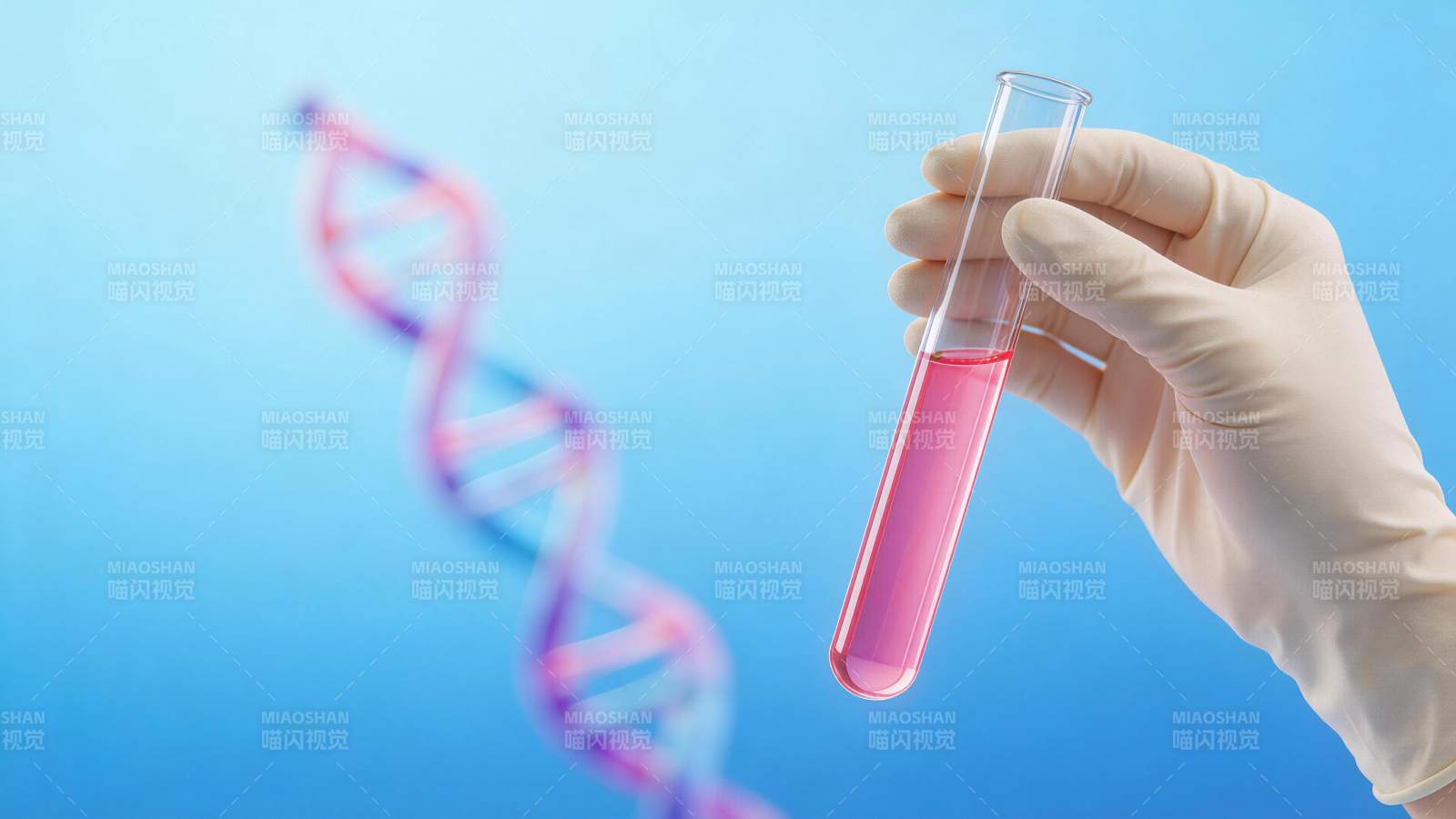 戴手套手持装有粉红色液体的试管与DNA双图片