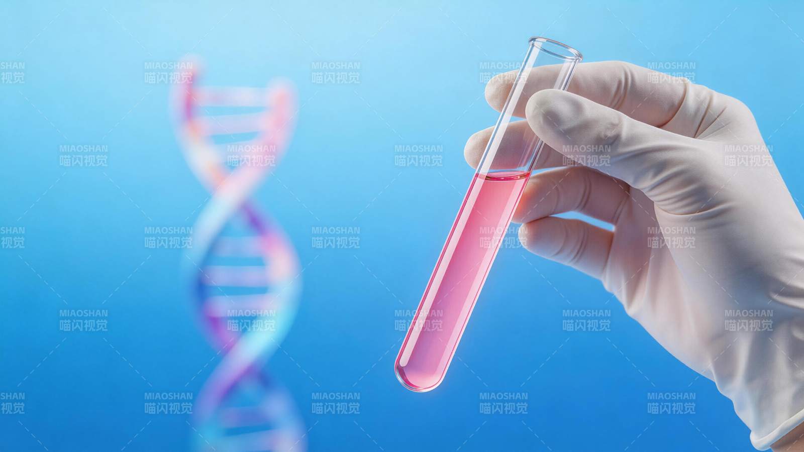 戴手套手持装有粉色液体的试管与DNA双螺图片
