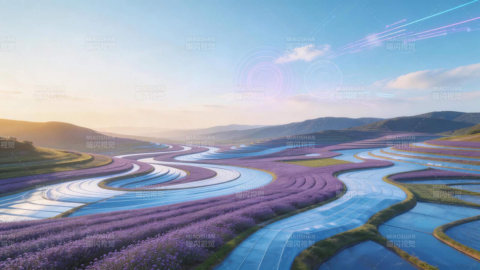 紫色花田与蓝色水道交织的梯田景观图片