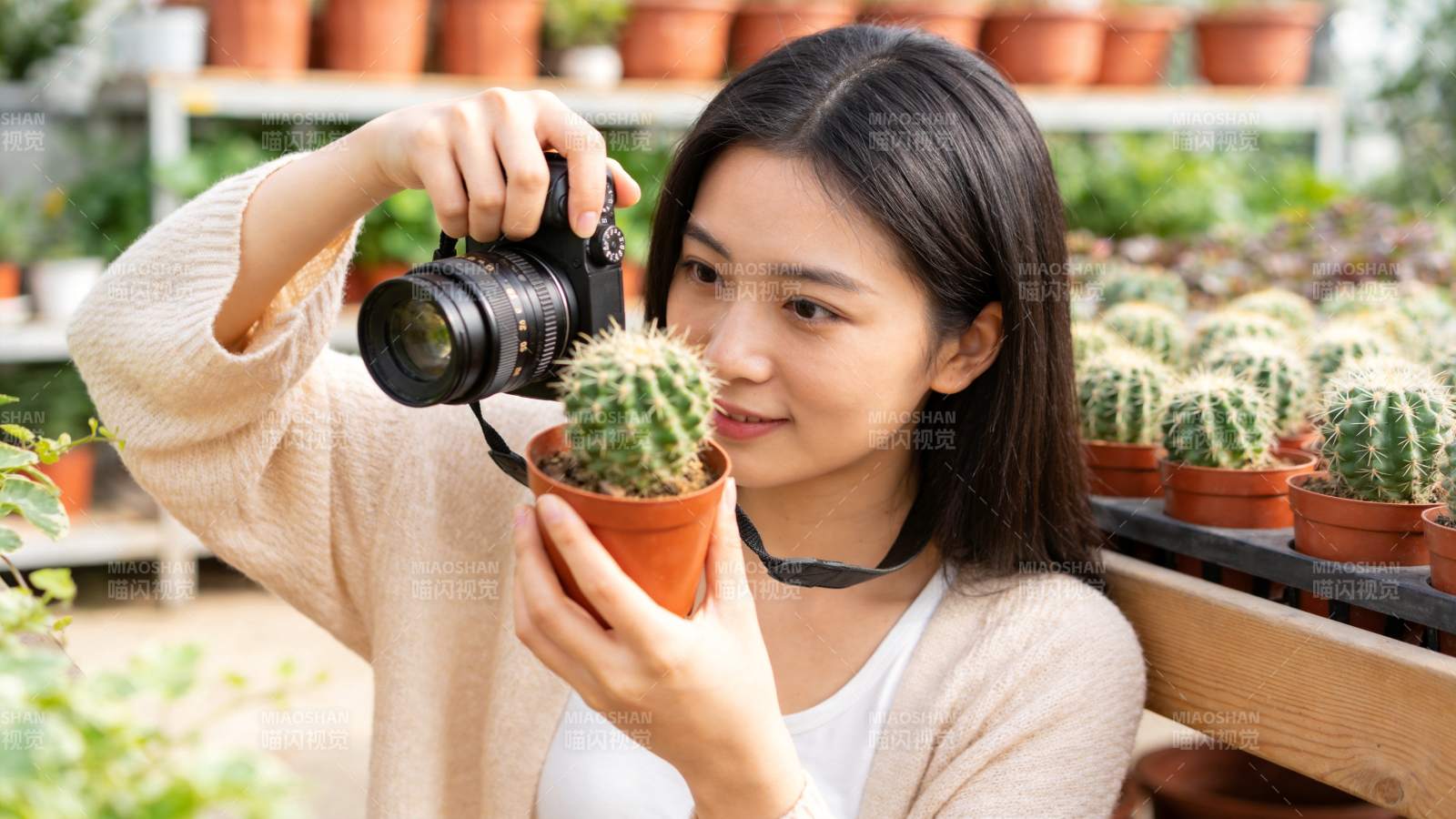 女子手持相机拍摄盆栽仙人掌特写图片