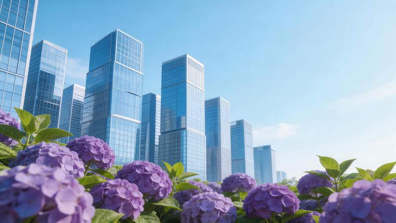 紫色绣球花前景与现代玻璃幕墙高楼群图片