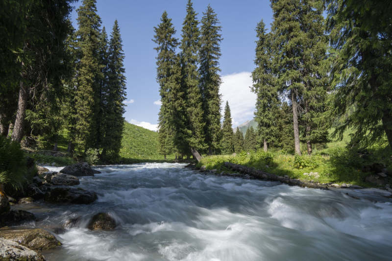 山涧溪流穿林过图片