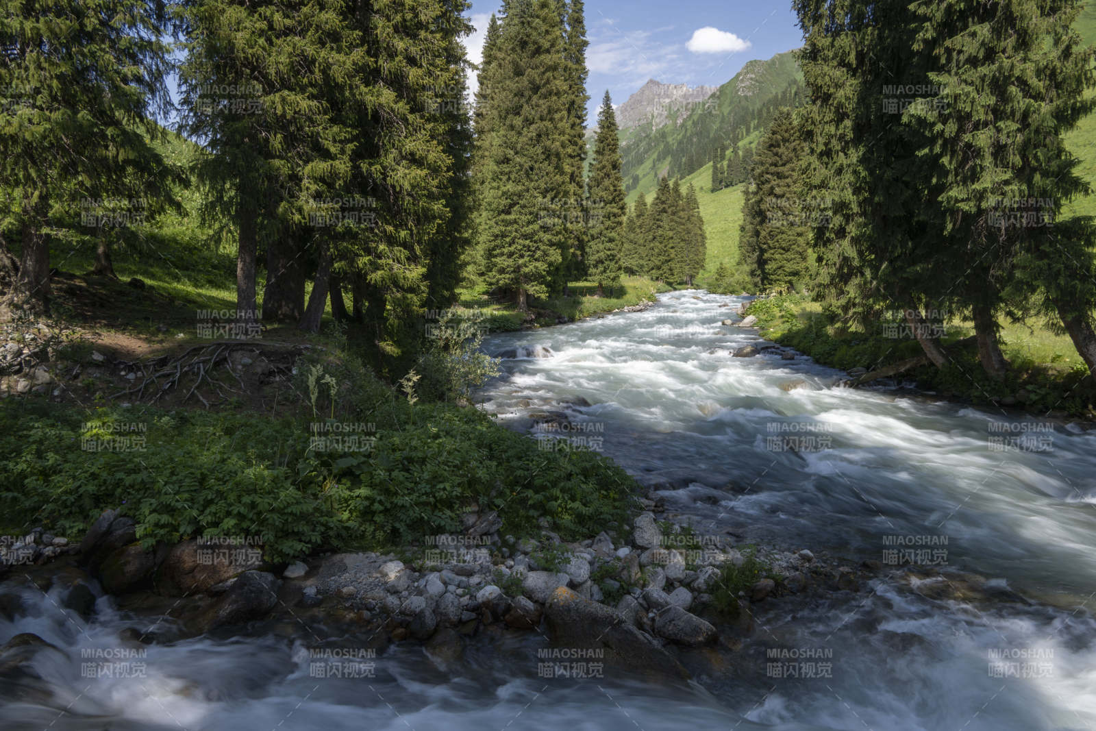 山涧溪流翠林间图片