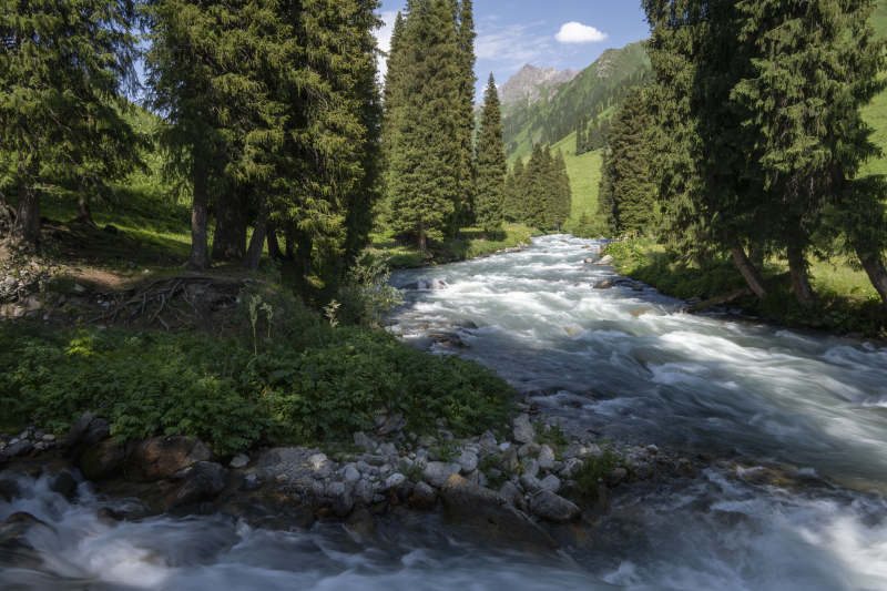 山涧溪流翠林间图片