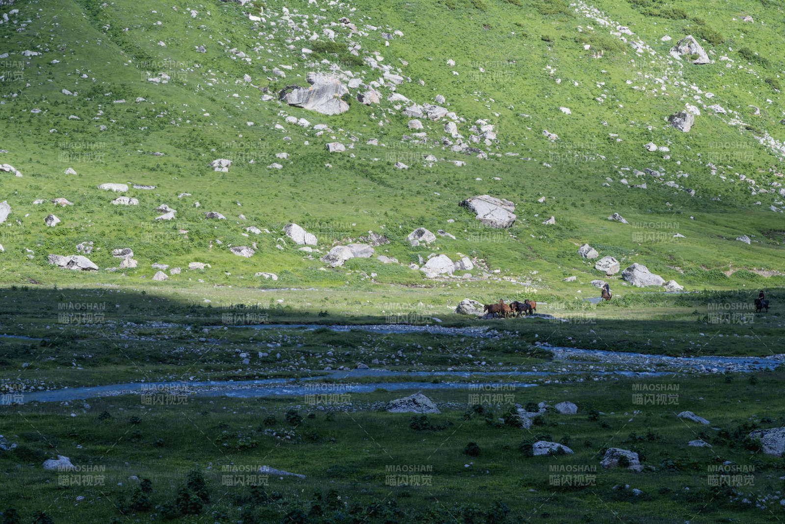 山野溪流牧影图片
