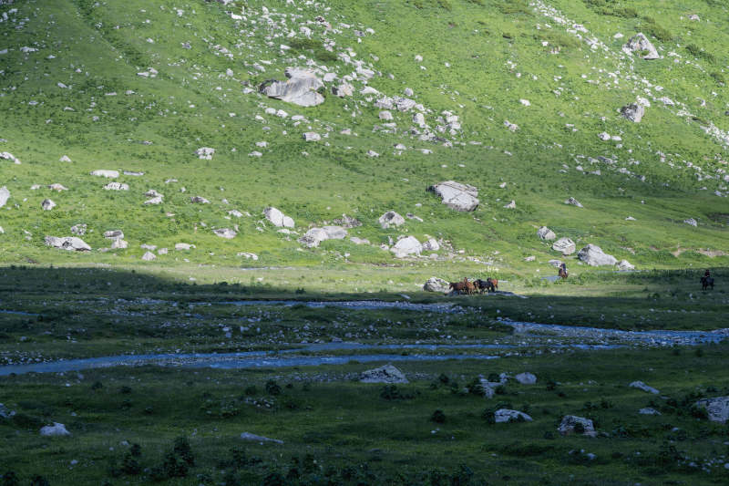 山野溪流牧影图片