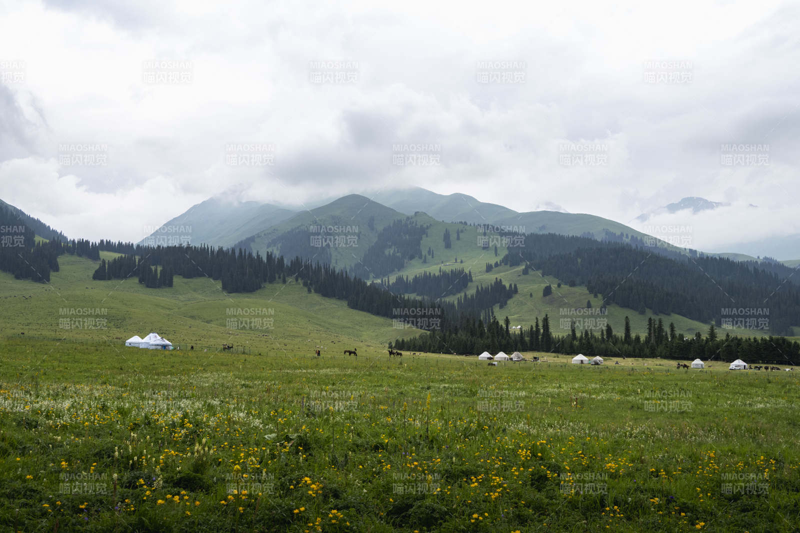 草原山居图图片