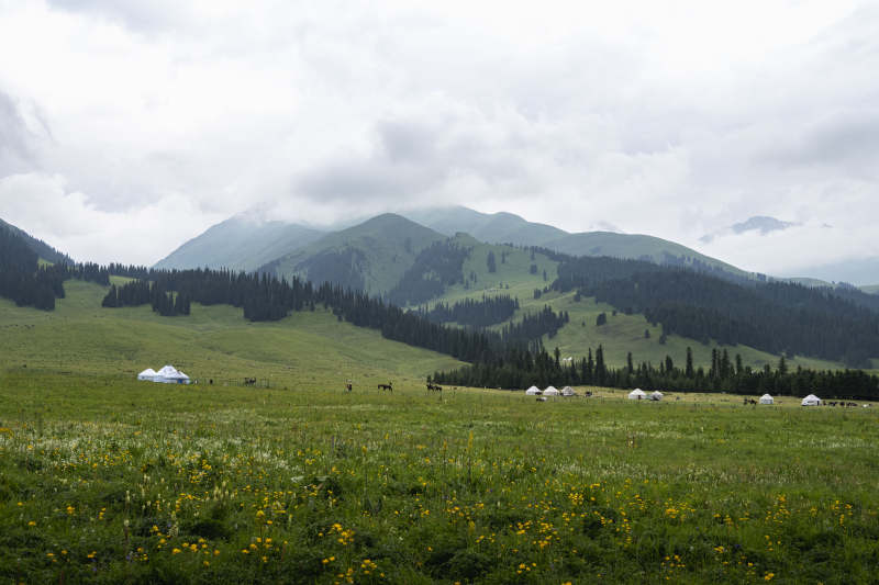 草原山居图图片