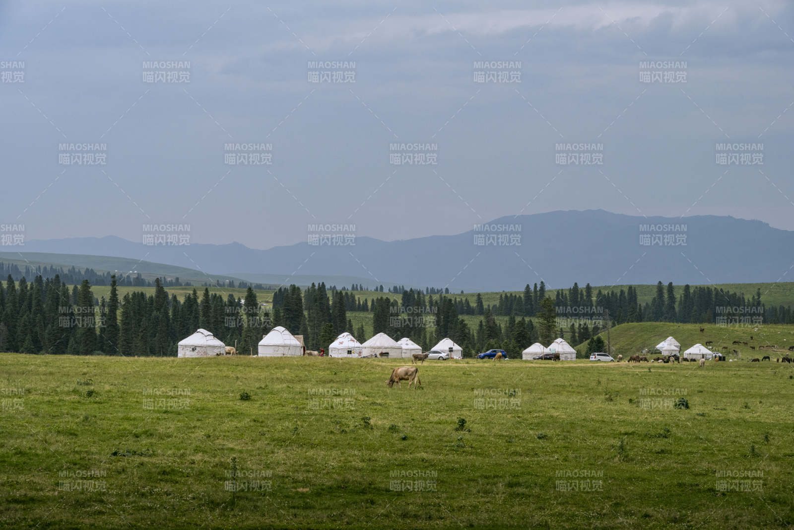 草原上的蒙古包群图片