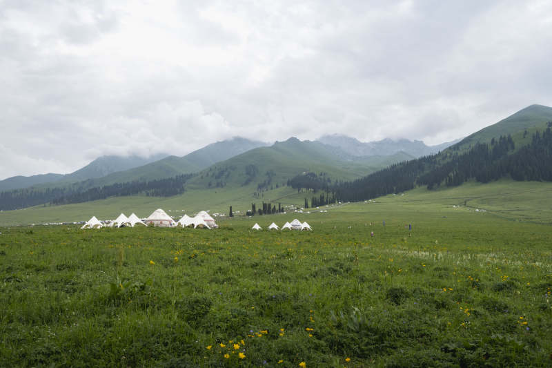 草原上的白色帐篷图片