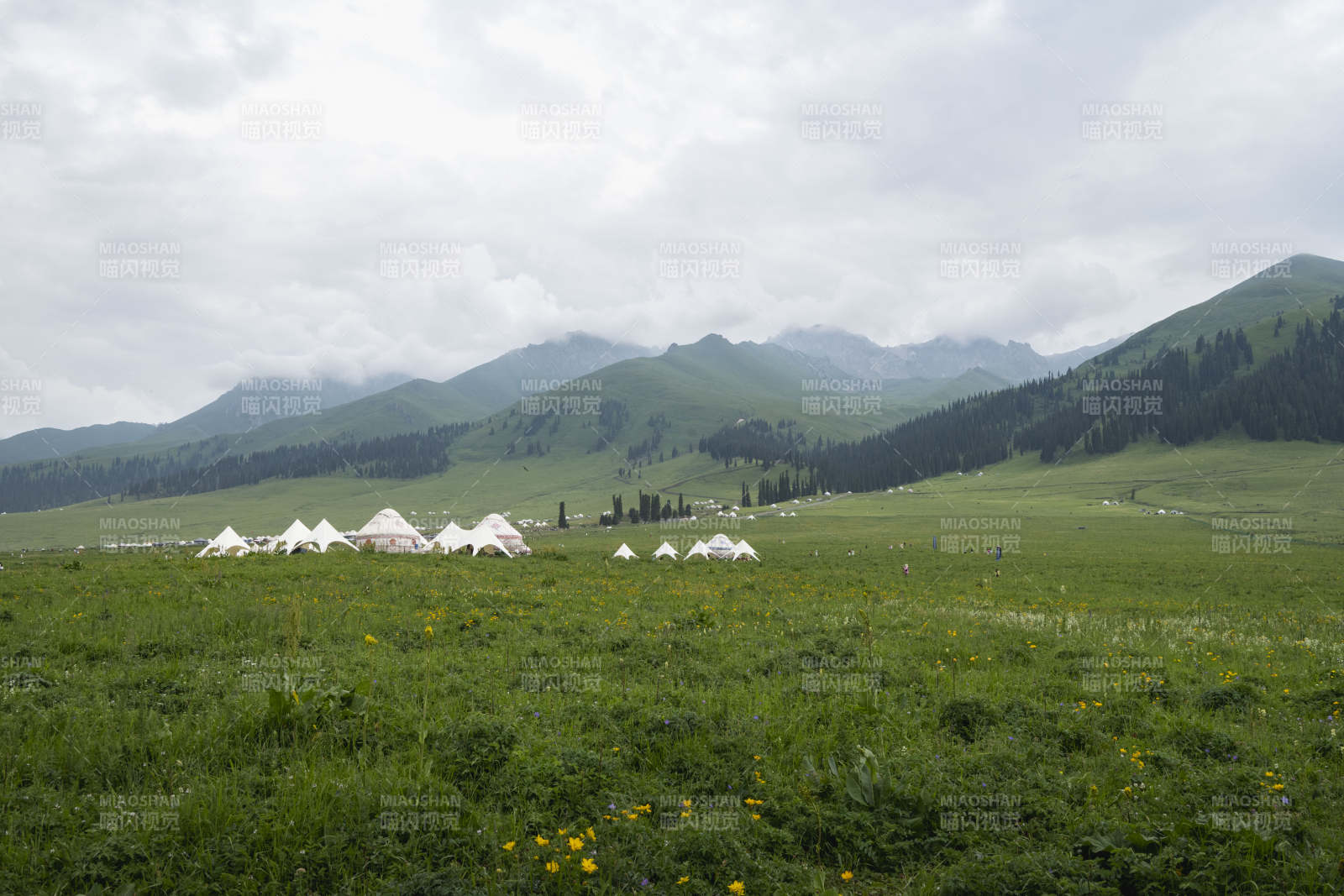 草原上的白色帐篷图片